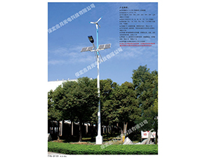 風(fēng)光互補(bǔ)太陽(yáng)能路燈FGD-30