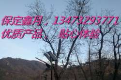 太陽(yáng)能路燈助力北京懷柔美麗鄉(xiāng)村建設(shè)，為首都后花園增色添彩